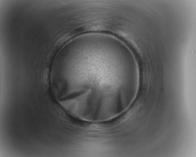 X0000089691265200707051618