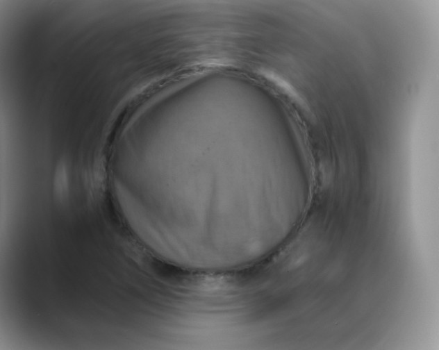 X0000089691266200707051618