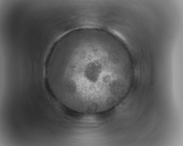 X0000089691267200707051618