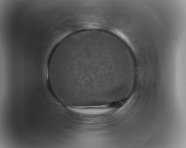 X0000089691269200707051618