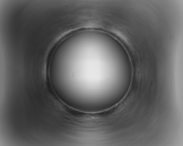 X0000089691270200707051618