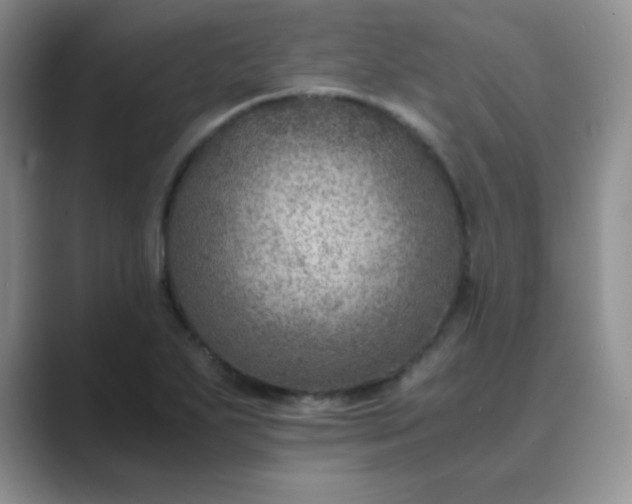 X0000089691271200707051618