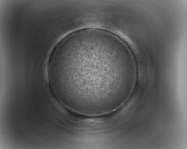 X0000089691272200707051618