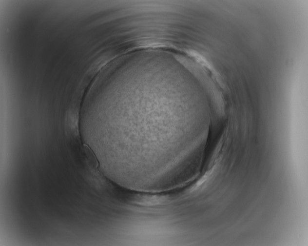 X0000089691273200707051618