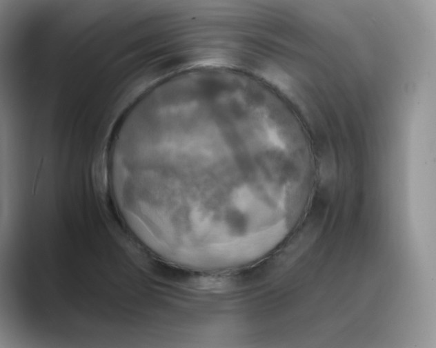 X0000089691274200707051618