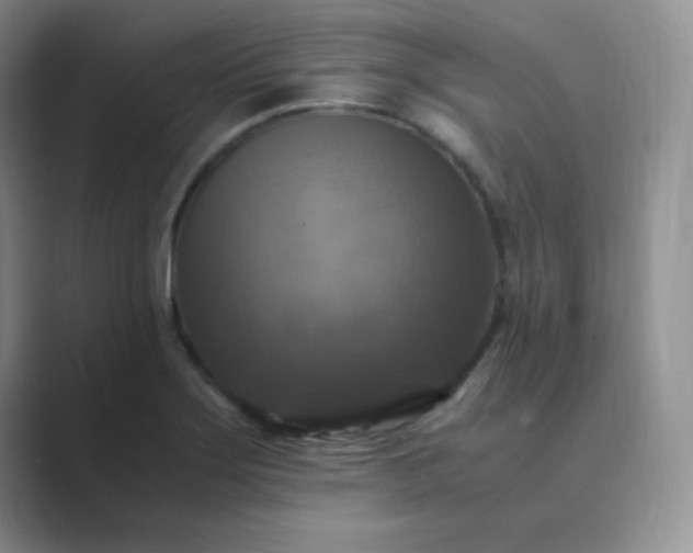 X0000089691275200707051618