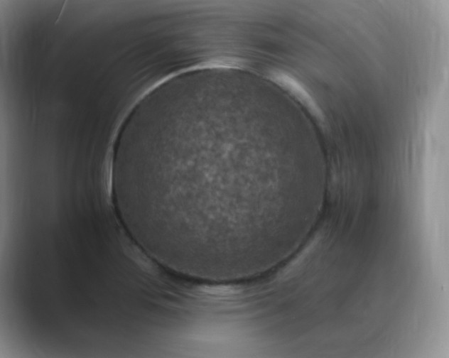 X0000089691276200707051618