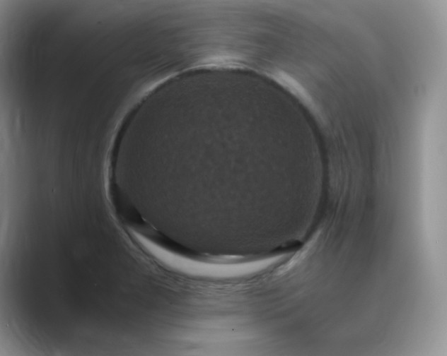 X0000089691277200707051618