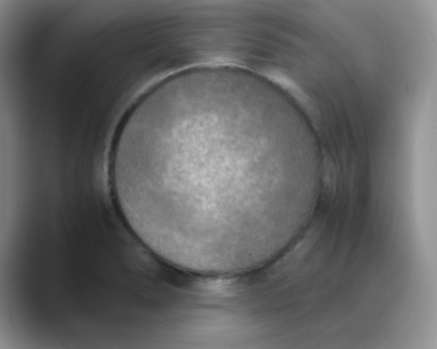 X0000089691278200707051618