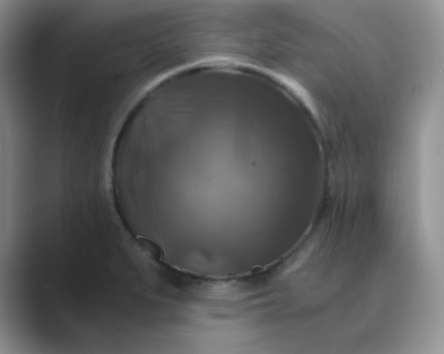 X0000089691279200707051618