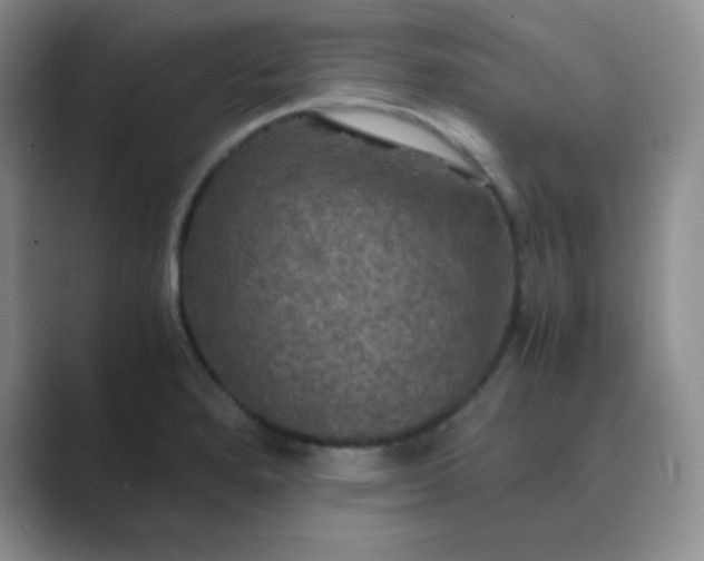 X0000089691280200707051618