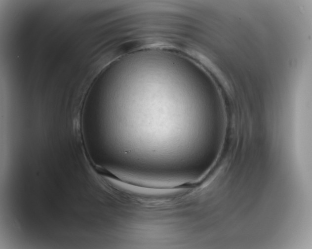 X0000089691281200707051618