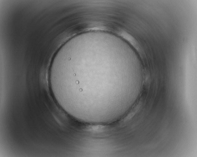 X0000089691282200707051618