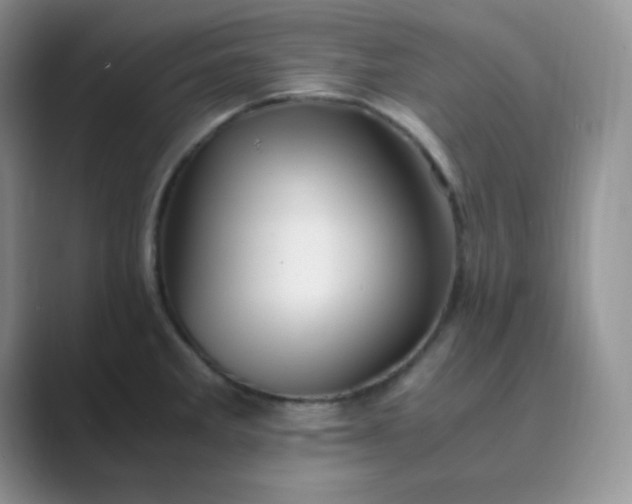 X0000089691285200707051618