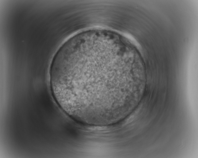 X0000089691287200707051618