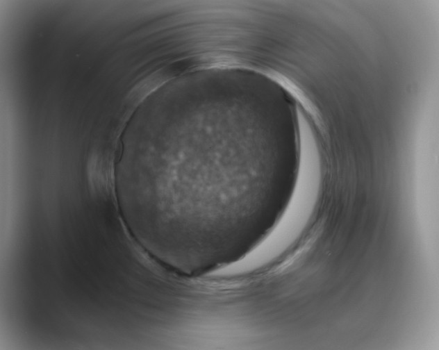 X0000089691289200707051618