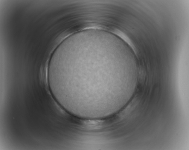 X0000089691290200707051618