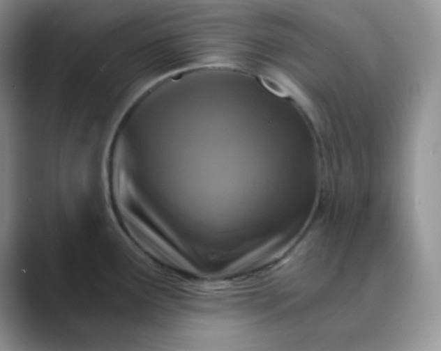 X0000089691291200707051618