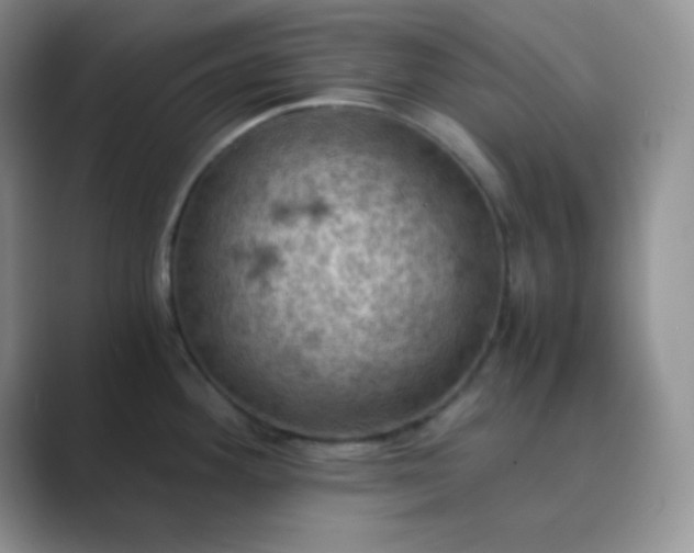 X0000089691292200707051618