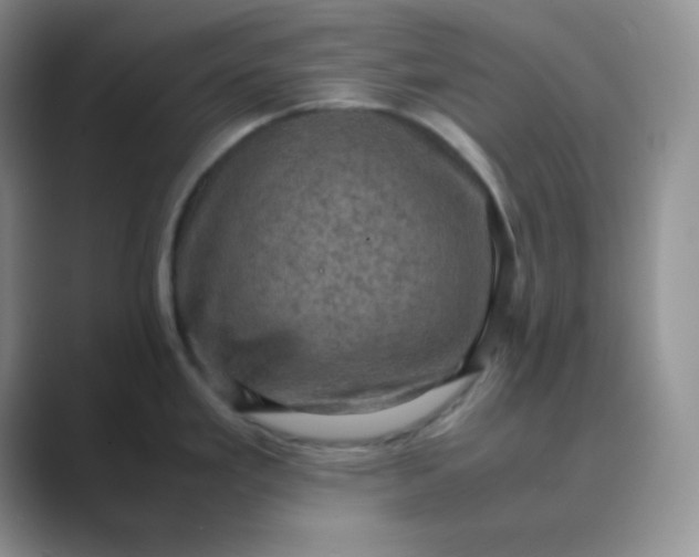 X0000089691293200707051618