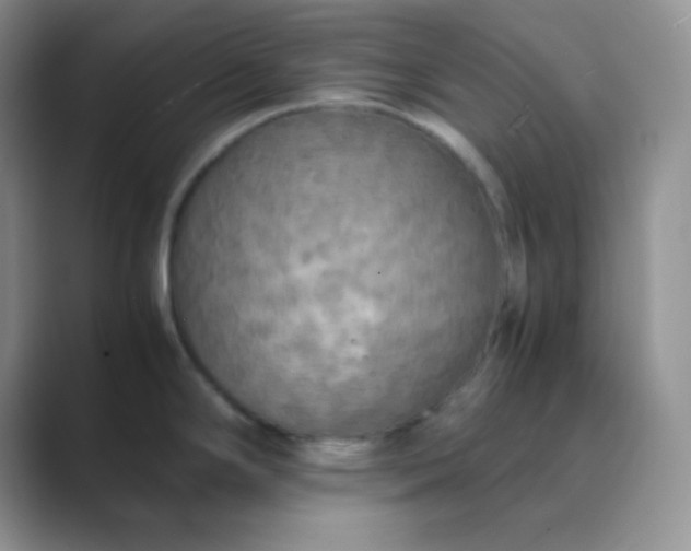 X0000089691294200707051618