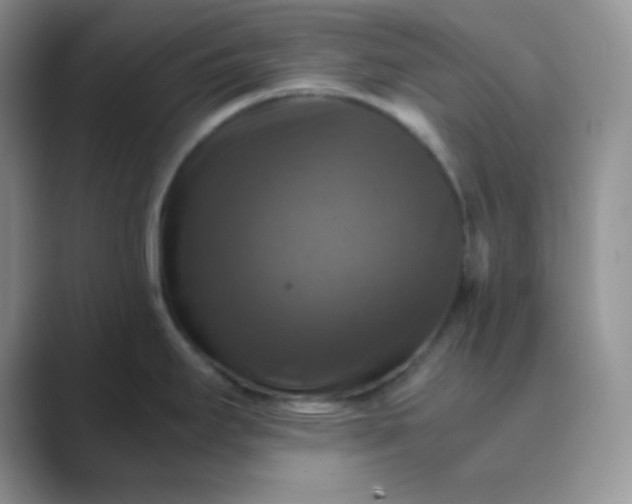 X0000089691295200707051618