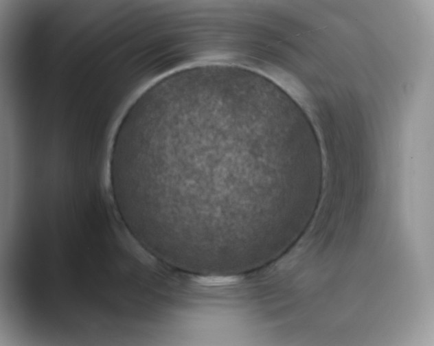 X0000089691296200707051618