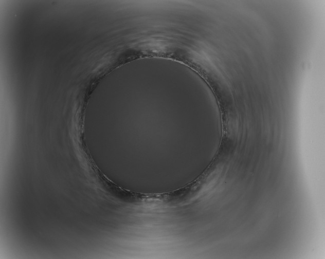 X0000089691297200707051617