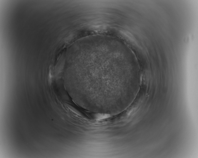 X0000089691298200707051617