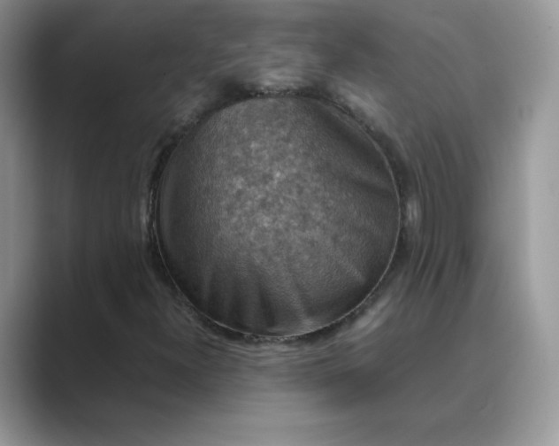 X0000089691300200707051617