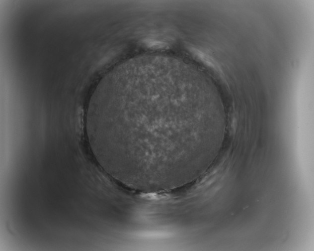 X0000089691301200707051617