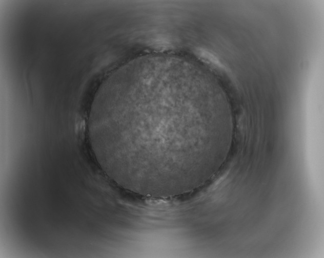 X0000089691302200707051617