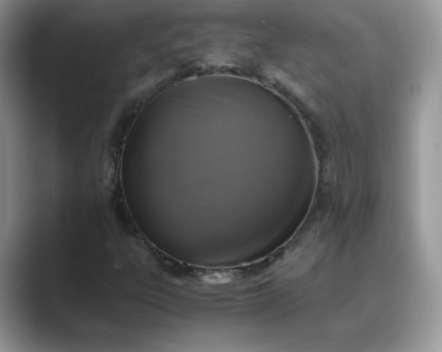 X0000089691303200707051617