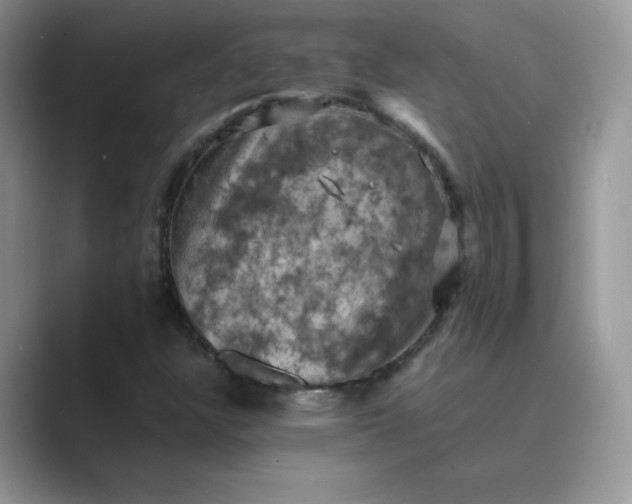 X0000089691304200707051617