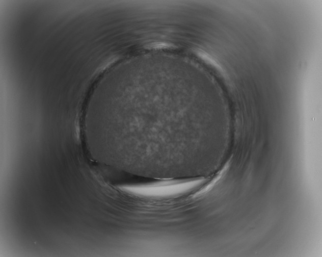 X0000089691305200707051617