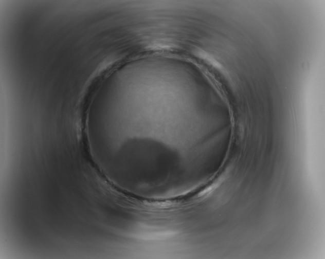 X0000089691306200707051617