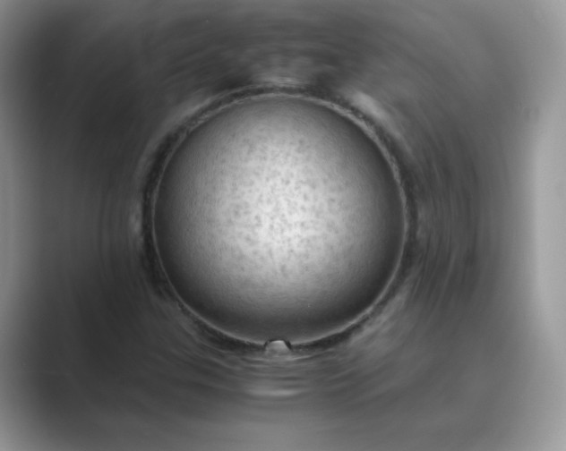 X0000089691307200707051617