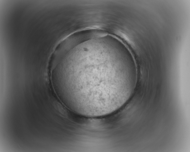 X0000089691308200707051617