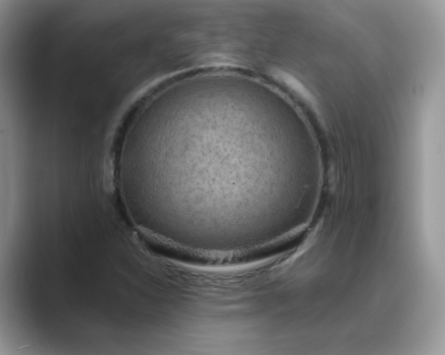 X0000089691310200707051617