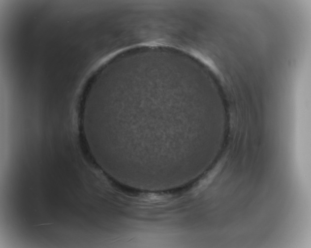 X0000089691311200707051617