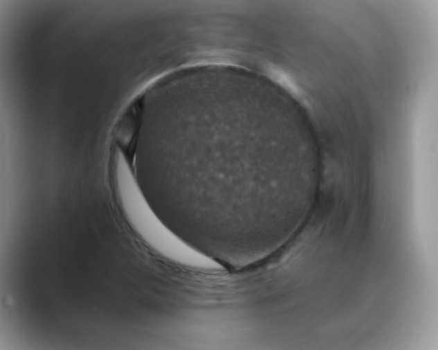 X0000089691312200707051617