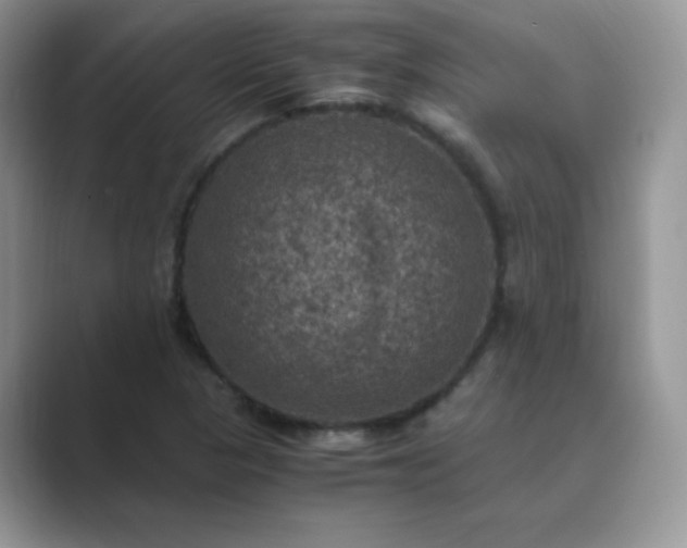 X0000089691313200707051617