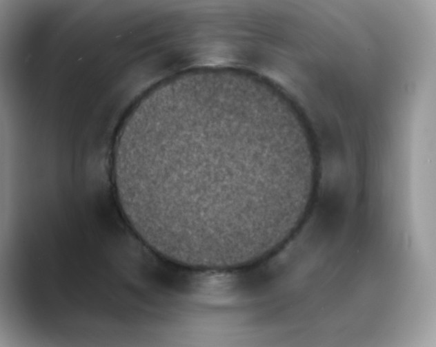 X0000089691314200707051617