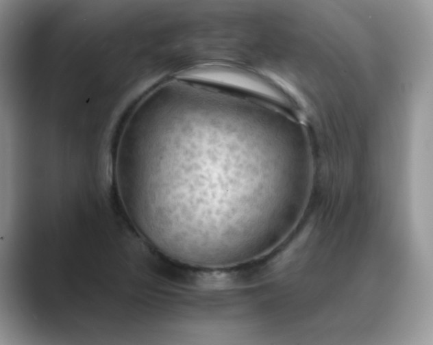 X0000089691317200707051617