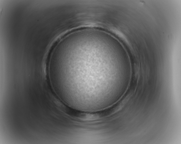 X0000089691318200707051617