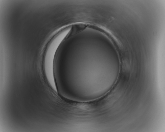 X0000089691319200707051618