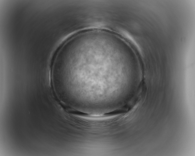 X0000089691320200707051618