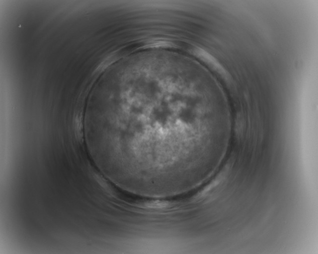 X0000089691321200707051618