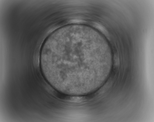 X0000089691322200707051618