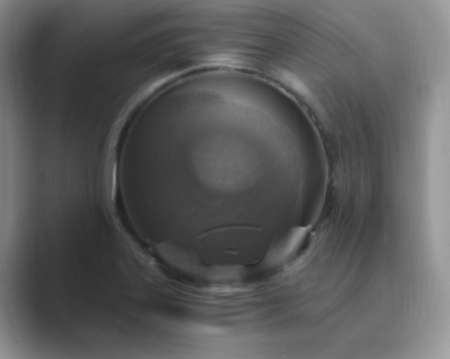 X0000089691323200707051618